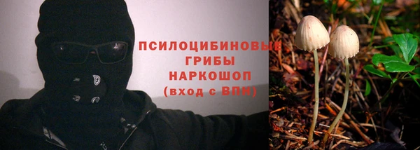 эйфоретик Арсеньев