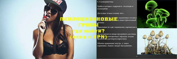 твердый Армянск