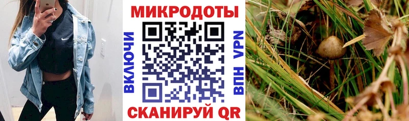 Галлюциногенные грибы Cubensis  дарнет шоп  блэк спрут tor  Баймак 